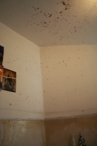 Ceiling Explosion